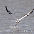 J0094 이미지
