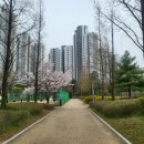 한아름근린공원 이미지