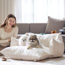 펫드라이브 | 펫테일 셀러브리티 은나노 강아지 카시트 대형 L 솔직 후기