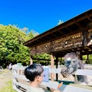 신기부화장 이미지