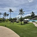 고래약국 | 샹그릴라 세부 + 오슬롭 고래상어 투어 현실 여행기