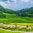 장수골프연습장 이미지