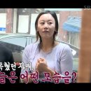 골목지짐이 이미지