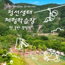 정선군생태체험학습장캠핑장 | [2024 우수공공야영장] 반려동물과 함께하는 정선 힐링 캠핑 &#39;정선생태체험학습장 펫 동반 캠핑장&#39;