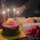 고성성심병원 | 또니의 26년 1월 2월💚