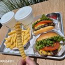 유아동영어원서 북메카 패밀리세일 김포 롯데몰 갔다가 쉐이크쉑 버거 먹고온 후기