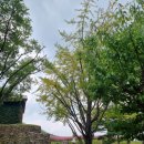 동재가산수피아 이미지