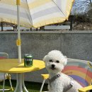 다연하우스 이미지