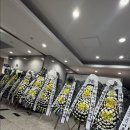 영헤어스토리 - 동구 | 영헤어스토리