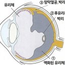 경희미한의원 이미지