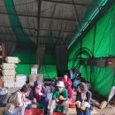 김영수농장 이미지