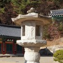 반듯한 멍이 이미지