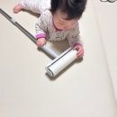 콩콩하우스 | 아기 가성비 폴더매트 층간소음매트 바니하우스 내돈내산 6개월 실사용 후기