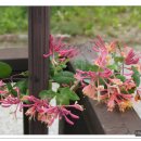 바다조아펜션 이미지