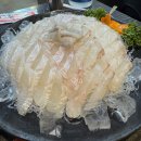 보물섬 - 평택시 평택로64번길 32 | 신논현 횟집 야장에서 기가막히게 맛있는 광어회 보물섬 후기