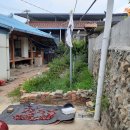 장 이용소 이미지