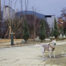 부영공원(월산근린공원) 이미지