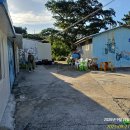 인천/옹진 굴업도(2) 이미지