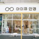 아이큐안경 이미지