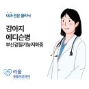 웰리스클리닉동물병원 | 개포동 동물병원 내과전문클리닉 :강아지 호르몬질환 에디슨병(부신겉질기능저하증) 치료 후기