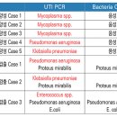 팝애니랩 이미지