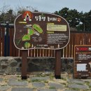 간절곶 공원 | 울산 간절곶 애견놀이터 🐶 이용방법 + 대기 후기 (오프리쉬 가능)”