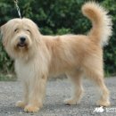 나라동물병원 이미지