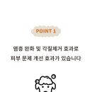 비바몽 네이버블로그
