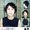 강정동-29 이미지