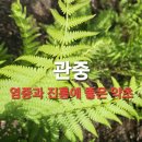 우리산약초 이미지