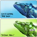 카멜레온 - 광양시 오류4길 27 | 카멜레온