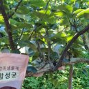 잘크라농장 이미지