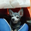 24시 카페 몽몽 이미지