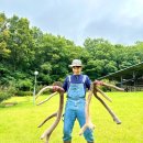 구성사슴농장 이미지