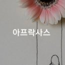 아프락사스 이미지