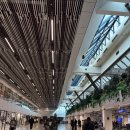 345렌트카 이미지