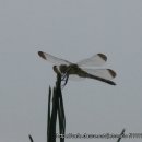 레이크펜션 이미지