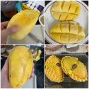 주식회사 그린화이트 | 블루오션마켓 파키스탄 망고 존사망고 화이트존사