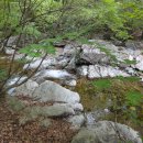 다리거리민박 이미지