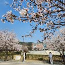 국제대학교 지성관 이미지