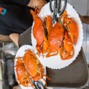 앵그리 밥 이미지