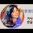 영화 첨밀밀OST / 가사해석, 한글발음 이미지
