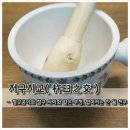지교 이미지