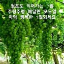 ＜07,21.주일오후예배설교＞ 하나님게 쓰임 받는 재물 이미지