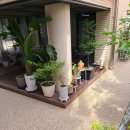 양생약국 이미지