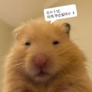 김효성 | 260117 판 낮공 후기(윤은오/김대곤/박은미/박세미/김효성/임소라/최영석)