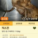 호동이네 이미지