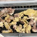 텃밭가든 이미지