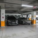 제주도감 상암본점