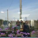 하얀집 STAY 이미지